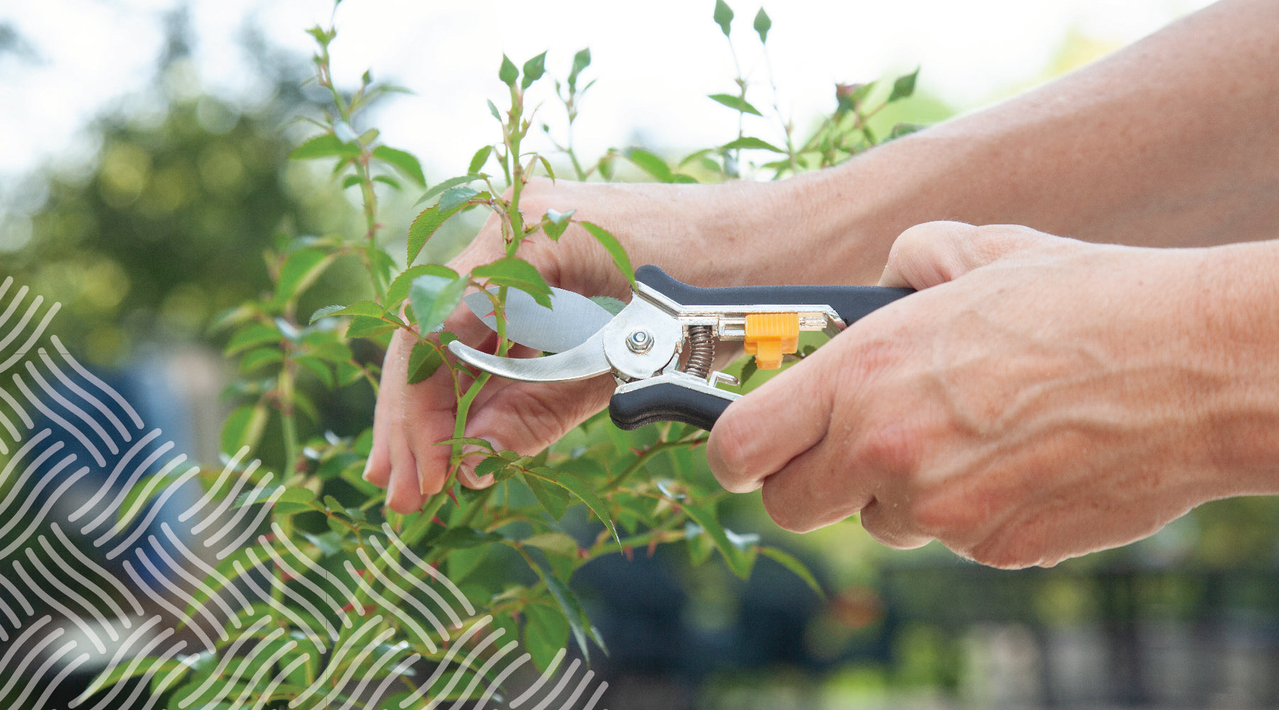 Spring Planting Guide: Essential Tips and Techniques for a Flourishing ...