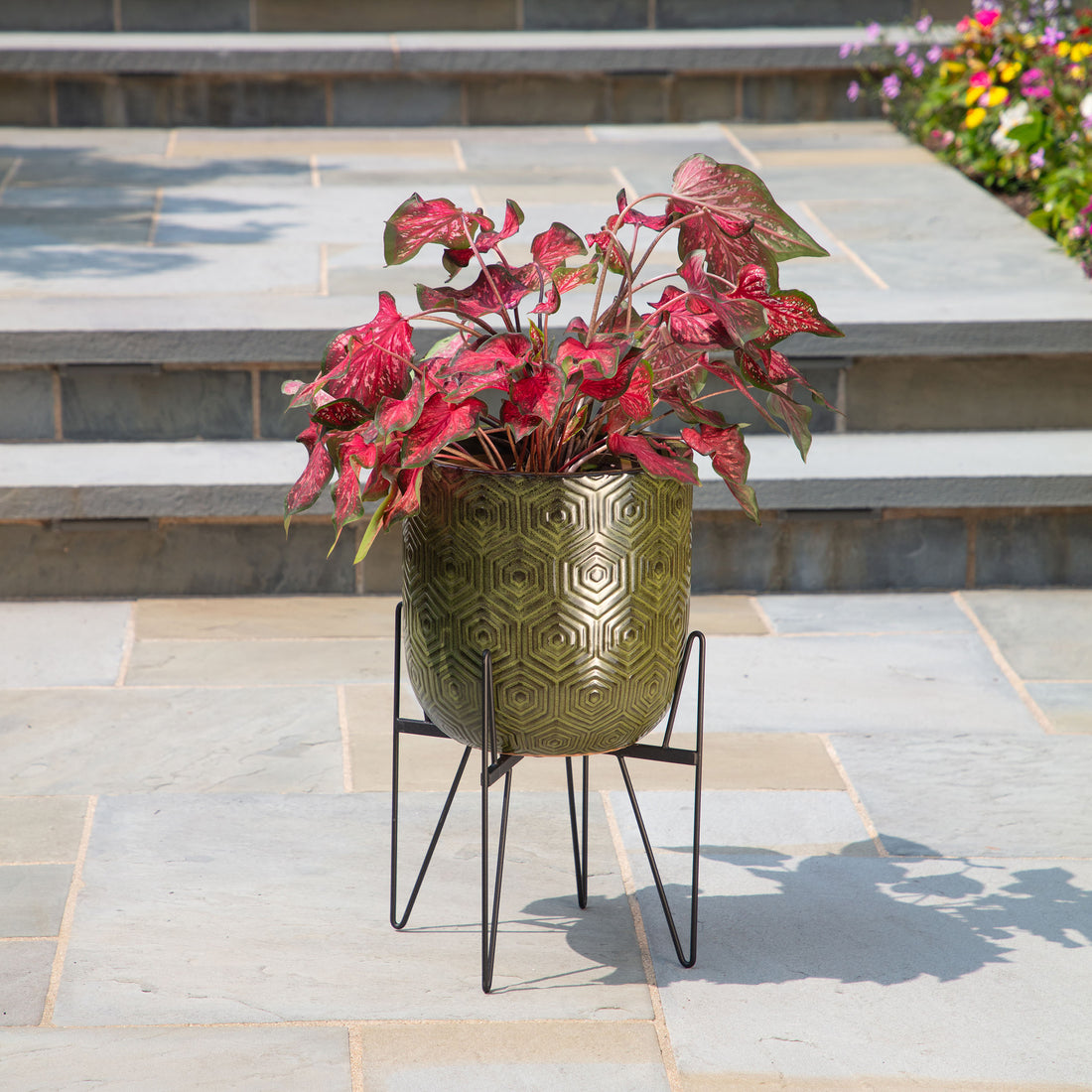 Wallace Adjustable Plant Stand