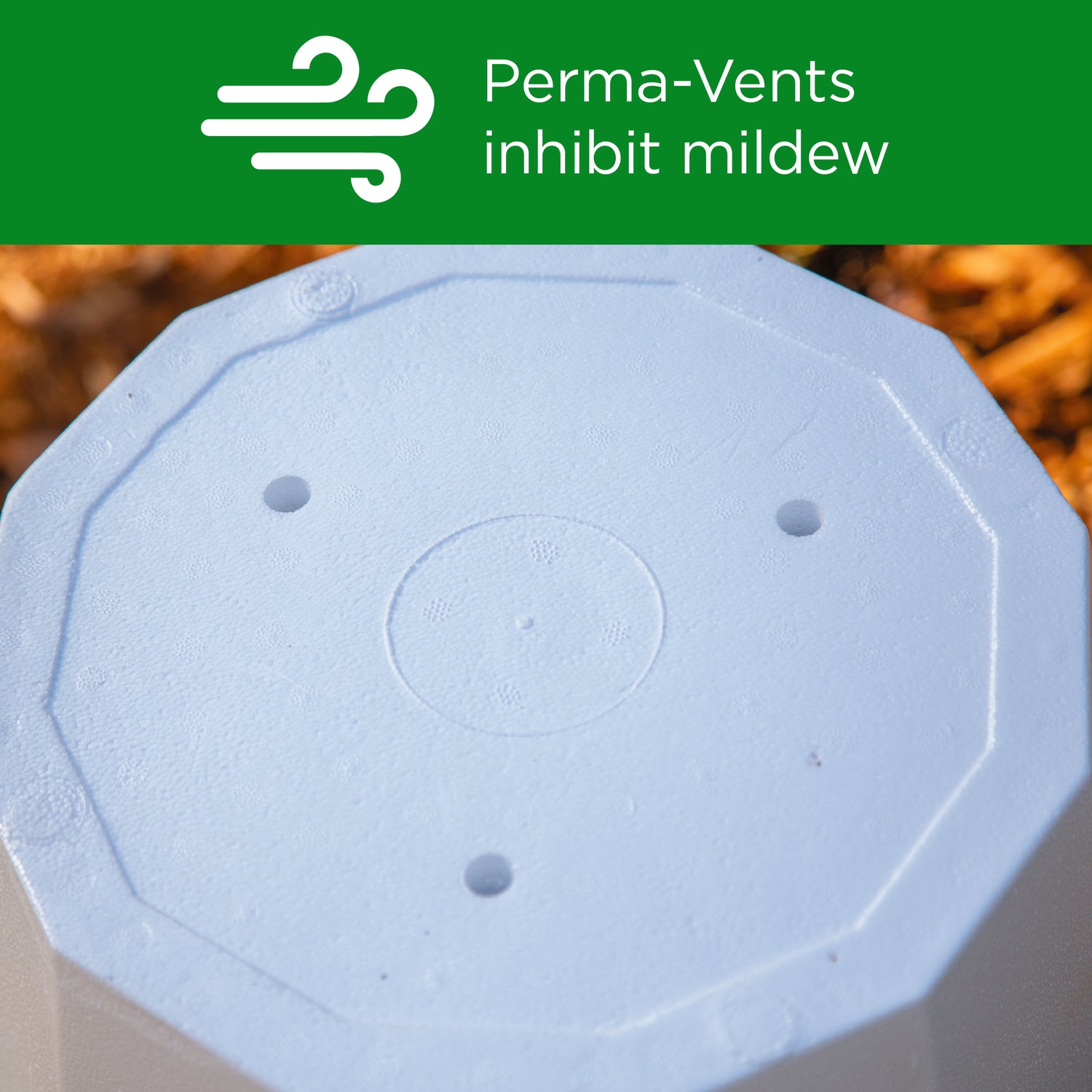 14" Standard Plant Protector