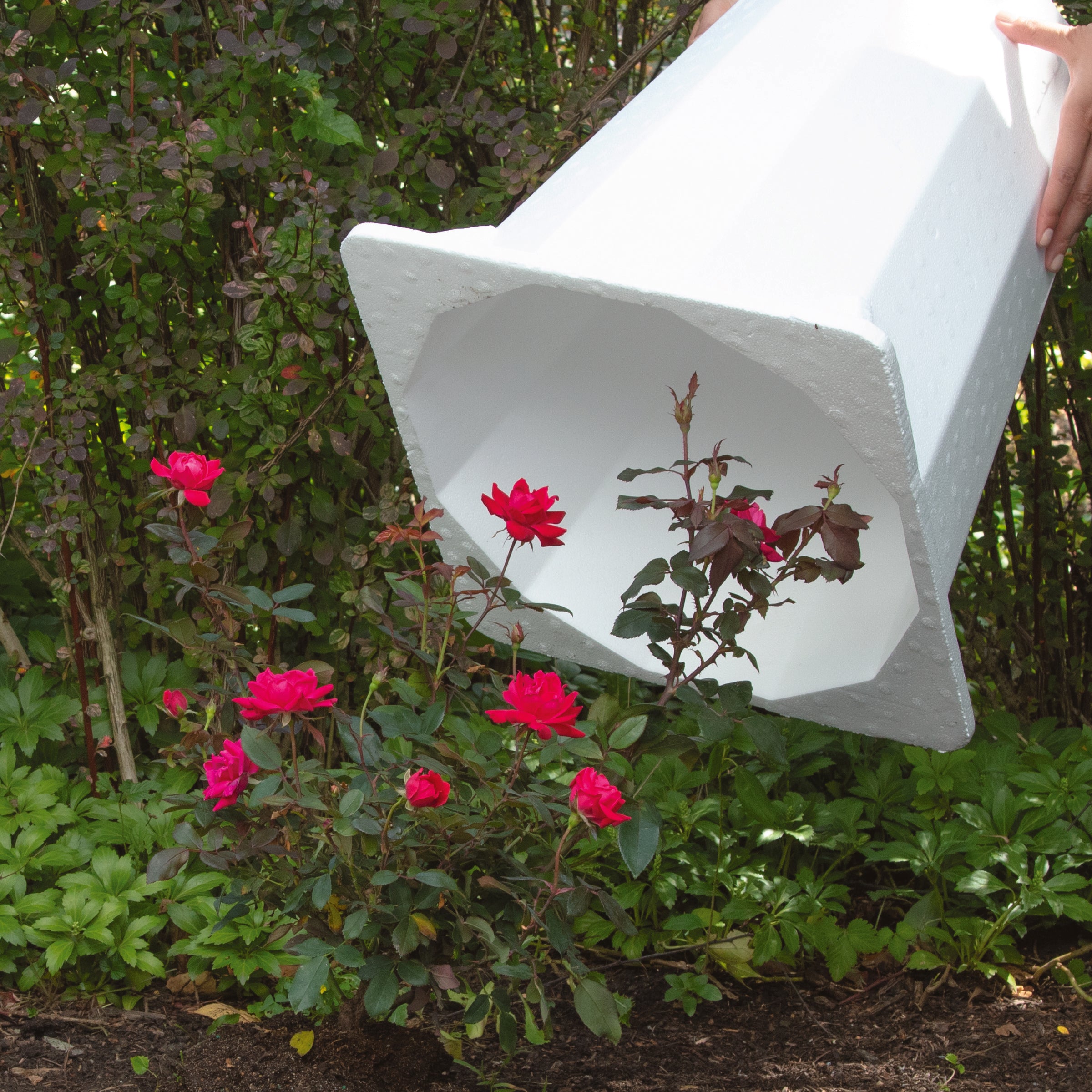 14" Standard Plant Protector