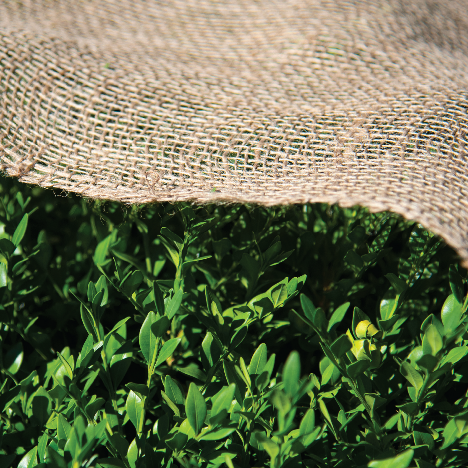 All Natural Jute Burlap