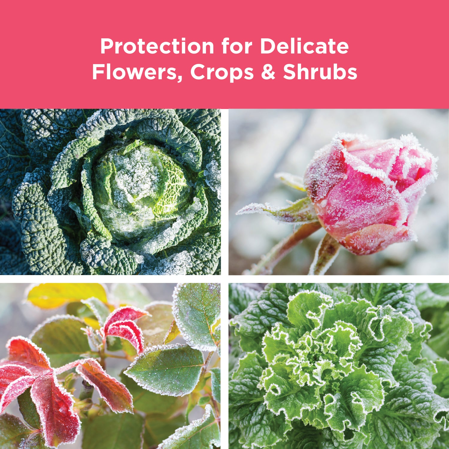 FrostWeb™ Freeze Protection Blanket