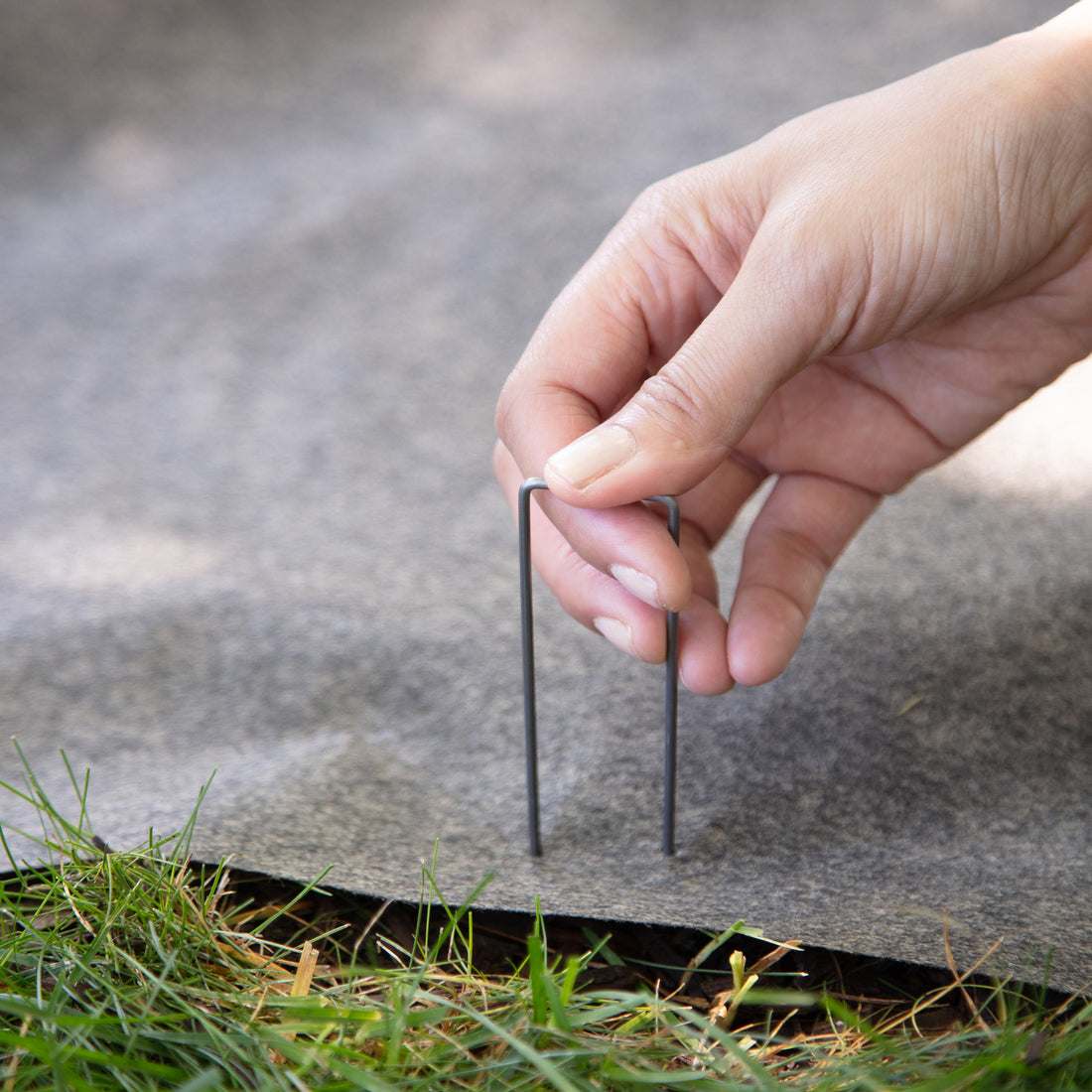 Steel Landscape Staples