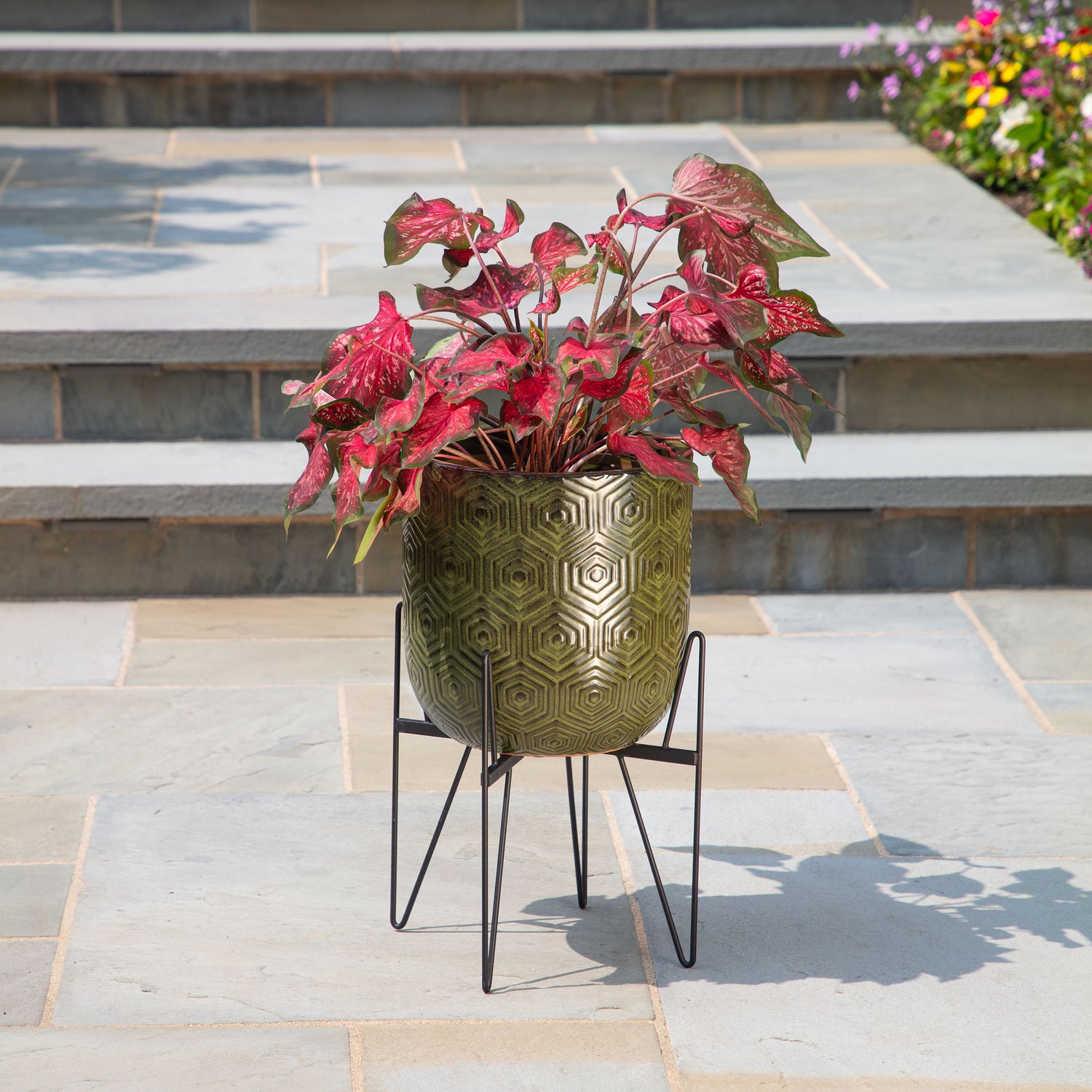 adjustable plant rack Wallace Adjustable Plant Stand