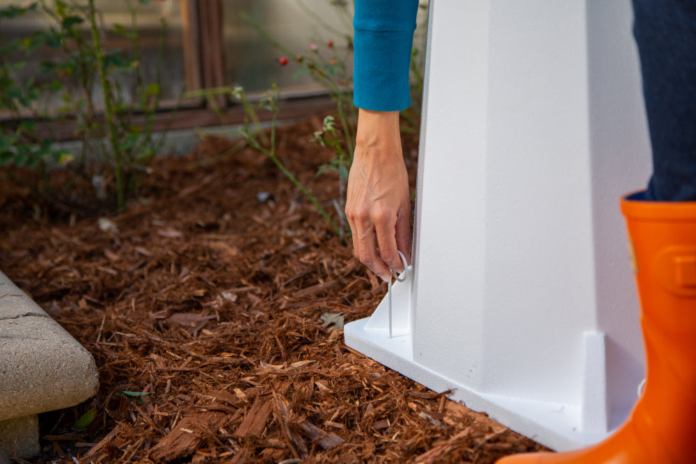 plant protector stakes holding cone in place